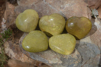 Polished Green Opal Gemstone Hearts  x 6 From Antsirabe, Madagascar