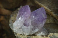 Natural Jacaranda Amethyst Clusters  x 3 From Zambia - Toprock Gemstones and Minerals 