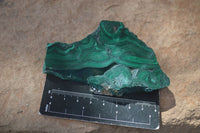 Polished Flower Banded Malachite Slices  x 6 From Congo - Toprock Gemstones and Minerals 