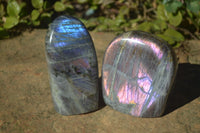 Polished Rare Purple Flash Labradorite Standing Free Forms x 3 From Tulear, Madagascar