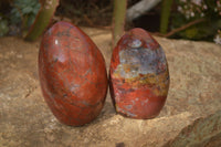 Polished  Red Jasper Standing Free Forms  x 2 From Madagascar