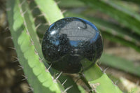 Polished Schorl Black Tourmaline Palm Stones  x 12 From Madagascar - Toprock Gemstones and Minerals 