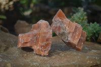 Natural New Sunset Orange Calcite Specimens  x 6 From Spitzkop, Namibia