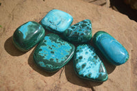 Polished Stunning Malacholla Free Forms  x 6 From Congo - Toprock Gemstones and Minerals 