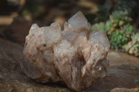 Natural Cascading Smokey Quartz Clusters x 2 From Luena, Congo