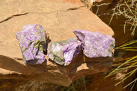 Natural Selected Purple Stichtite Specimens  x 21 From Barberton, South Africa - TopRock