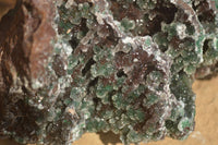 Natural Drusy Coated Ball Malachite On Dolomite Specimen  x 1 From Likasi, Congo