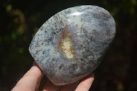 Polished Dendritic White Opal Standing Free Forms & Gallets x 6 From Madagascar - Toprock Gemstones and Minerals 