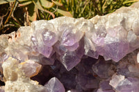 Natural XXL Jacaranda Amethyst Crystal Geode / Vug Specimen  x 1 From Mumbwe, Zambia - TopRock