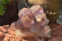 Natural Jacaranda Amethyst Quartz Clusters x 2 From Zambia - TopRock