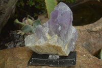 Natural Jacaranda Amethyst Clusters  x 3 From Mumbwa, Zambia - Toprock Gemstones and Minerals 