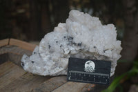 Natural Extra Large Candle Quartz Cluster  x 1 From Madagascar - Toprock Gemstones and Minerals 