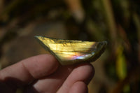 Polished One Side Polished Labradorite Slices  x 12 From Tulear, Madagascar - Toprock Gemstones and Minerals 