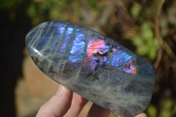 Polished Rare Purple Flash Labradorite Standing Free Forms x 3 From Tulear, Madagascar