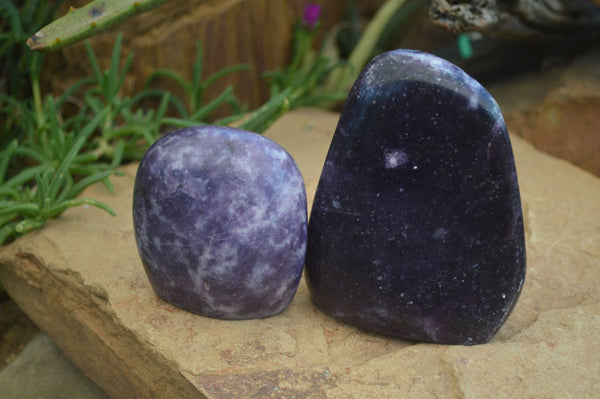 Polished Gem Lithium Mica Lepidolite Standing Free Forms  x 2 From Zimbabwe - Toprock Gemstones and Minerals 