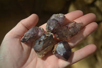 Natural Window Amethyst Crystals  x 12 From Chiredzi, Zimbabwe