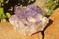 Natural Jacaranda Amethyst Quartz Clusters x 2 From Zambia - TopRock