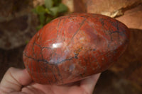 Polished  Red Jasper Standing Free Forms  x 2 From Madagascar