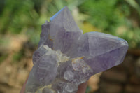 Natural Jacaranda Amethyst Clusters  x 3 From Mumbwa, Zambia - Toprock Gemstones and Minerals 