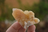 Natural Small Mixed Spirit Quartz Clusters / Crystals  x 24 From Boekenhouthoek, South Africa - TopRock