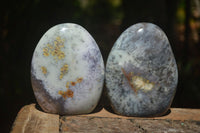 Polished Dendritic White Opal Standing Free Forms & Gallets x 6 From Madagascar - Toprock Gemstones and Minerals 