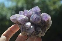 Natural Dark Purple Amethyst Clusters  x 3 From Mapatizya, Zambia - TopRock