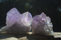 Natural Jacaranda Amethyst Clusters  x 3 From Zambia - Toprock Gemstones and Minerals 