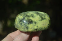 Polished Extra Large Leopard Stone Free Forms  x 6 From Zimbabwe - Toprock Gemstones and Minerals 