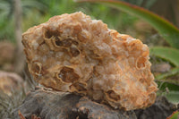 Natural Golden Hematoid Quartz Clusters  x 6 From Zambia - TopRock