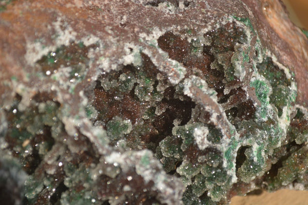 Natural Drusy Coated Ball Malachite On Dolomite Specimen  x 1 From Likasi, Congo