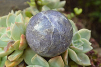 Polished Small Purple Lepidolite Spheres (Rubellite Inclusions on some) x 6 From Madagascar - TopRock