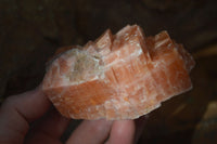 Natural New Sunset Orange Calcite Specimens  x 6 From Spitzkop, Namibia