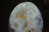 Polished Dendritic White Opal Standing Free Forms & Gallets x 6 From Madagascar - Toprock Gemstones and Minerals 