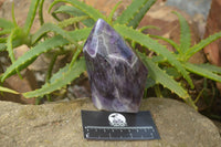 Polished Chevron Amethyst Point x 1 From Zambia