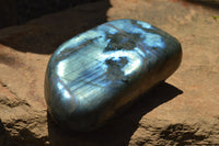 Polished Labradorite Standing Free Forms With Intense Blue Flash x 2 From Sakoany, Madagascar - TopRock