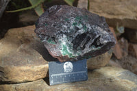 Natural Drusy Quartz Coated Malachite In Red Dolomite Specimen  x 1 From Likasi, Congo - Toprock Gemstones and Minerals 