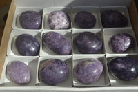 Polished Purple Lepidolite Palm Stones  x 12 From Zimbabwe