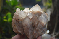 Natural Cascading Smokey Quartz Clusters x 2 From Luena, Congo