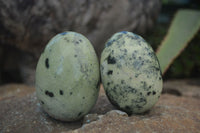 Polished Spotted Leopard Stone Eggs x 8 From Nyanga & Shamva, Zimbabwe - Toprock Gemstones and Minerals 