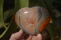 Polished Polychrome Jasper Hearts  x 6 From Mahajanga, Madagascar