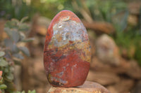 Polished  Red Jasper Standing Free Forms  x 2 From Madagascar