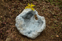 Natural Gorgeous Crystalline Pale Blue Celestite Geode Specimen  x 1 From Sakoany, Madagascar - TopRock