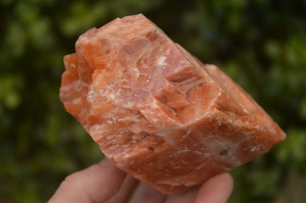 Natural New Sunset Orange Calcite Specimens  x 4 From Spitzkop, Namibia