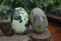 Polished Spotted Leopard Stone Eggs x 8 From Nyanga & Shamva, Zimbabwe - Toprock Gemstones and Minerals 