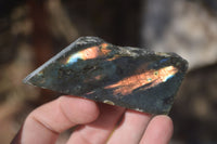 Polished One Side Polished Labradorite Slices  x 12 From Tulear, Madagascar - Toprock Gemstones and Minerals 