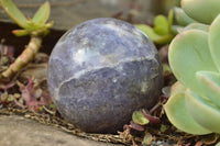 Polished Small Purple Lepidolite Spheres (Rubellite Inclusions on some) x 6 From Madagascar - TopRock