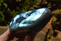 Polished Labradorite Standing Free Forms With Intense Blue Flash x 2 From Sakoany, Madagascar - TopRock