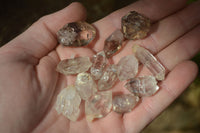 Natural Mixed Clear Smokey Brandberg Quartz Crystals x 35 From Brandberg, Namibia