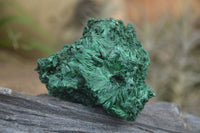 Natural Chatoyant Silky Malachite Specimens  x 6 From Kasompe, Congo - TopRock