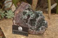 Natural Drusy Coated Ball Malachite On Dolomite Specimen  x 1 From Likasi, Congo